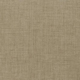 Gạch lát sàn Trường Thịnh TEXTILE BE66195